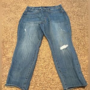 Judy Blue pull on Jeans